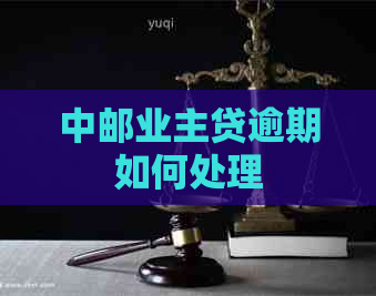 中邮业主贷逾期如何处理