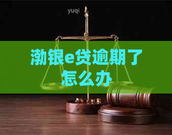 渤银e贷逾期了怎么办