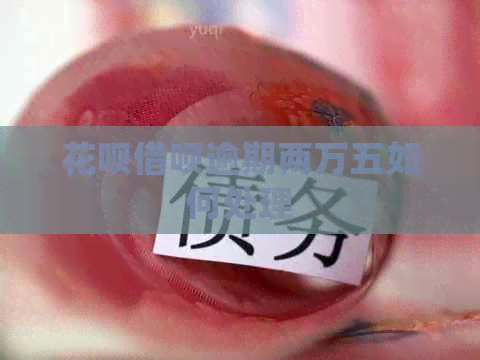 花呗借呗逾期两万五如何处理