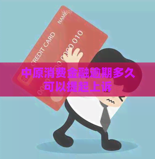 中原消费金融逾期多久可以提起上诉