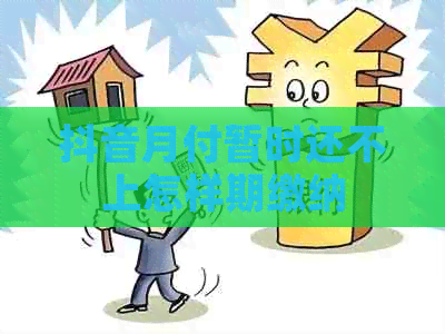 抖音月付暂时还不上怎样期缴纳