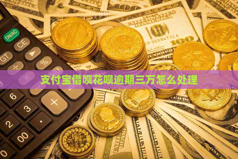 支付宝借呗花呗逾期三万怎么处理