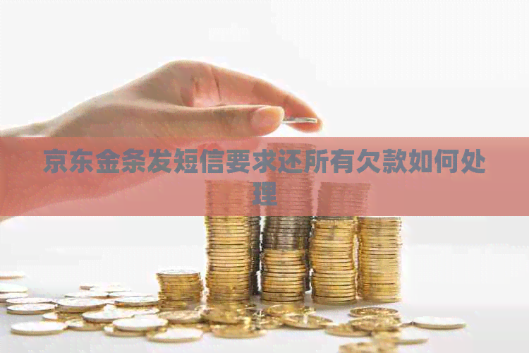 京东金条发短信要求还所有欠款如何处理