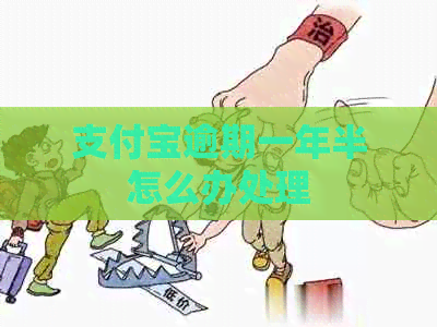 支付宝逾期一年半怎么办处理