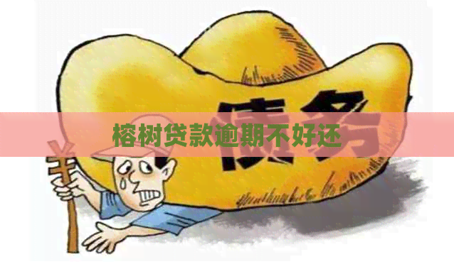 榕树贷款逾期不好还