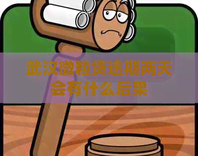 武汉微粒贷逾期两天会有什么后果