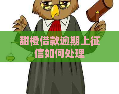 甜橙借款逾期上如何处理