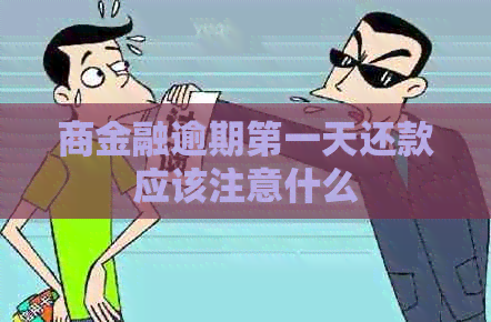 商金融逾期之一天还款应该注意什么