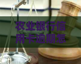 农业银行信用卡逾期怎么去协商利息