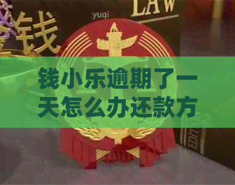 钱小乐逾期了一天怎么办还款方法及注意事项