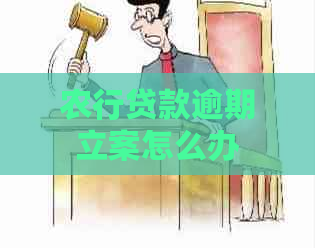 农行贷款逾期立案怎么办