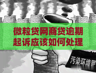 微粒贷网商贷逾期起诉应该如何处理