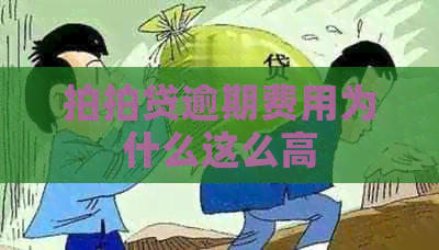 逾期费用为什么这么高