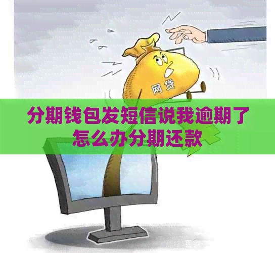 分期钱包发短信说我逾期了怎么办分期还款