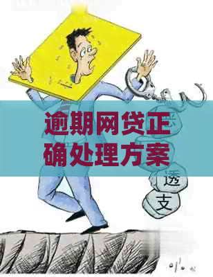 逾期网贷正确处理方案哈尔滨如何解决