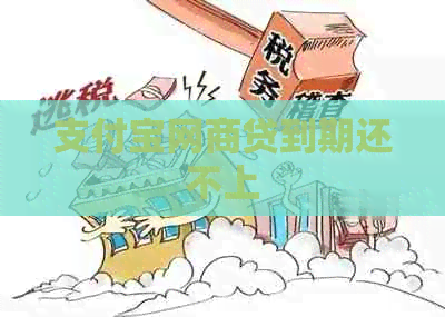 支付宝网商贷到期还不上