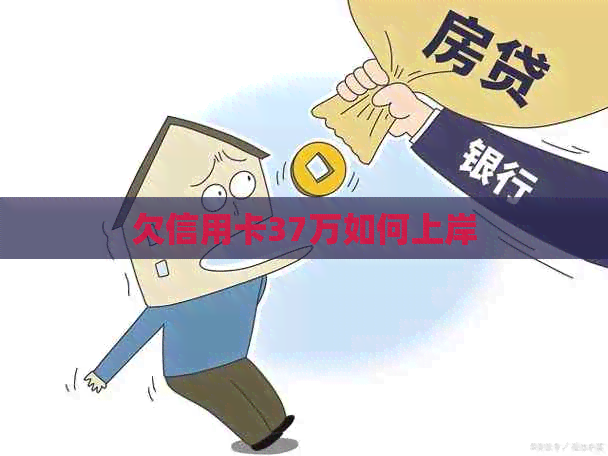 欠信用卡37万如何上岸