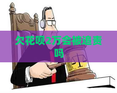 欠花呗2万会被追责吗