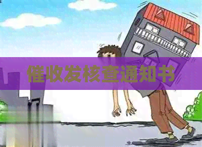 发核查通知书