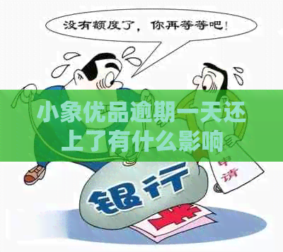 小象优品逾期一天还上了有什么影响