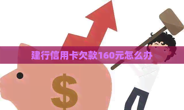 建行信用卡欠款160元怎么办