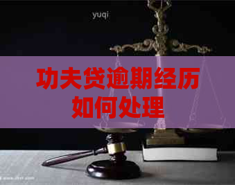 功夫贷逾期经历如何处理