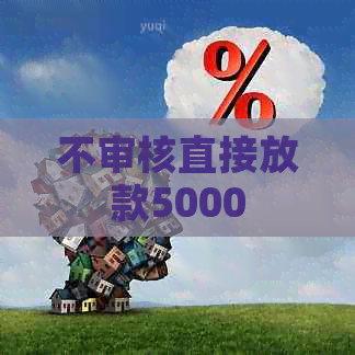 不审核直接放款5000