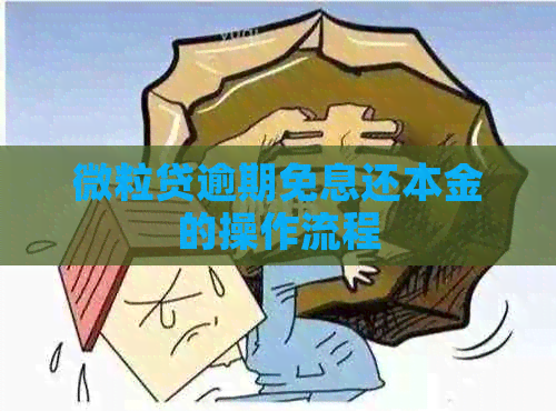 微粒贷逾期免息还本金的操作流程