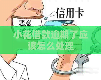 小花借款逾期了应该怎么处理