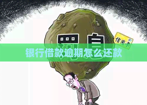 银行借款逾期怎么还款