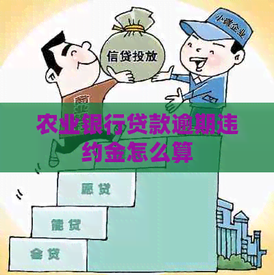 农业银行贷款逾期违约金怎么算