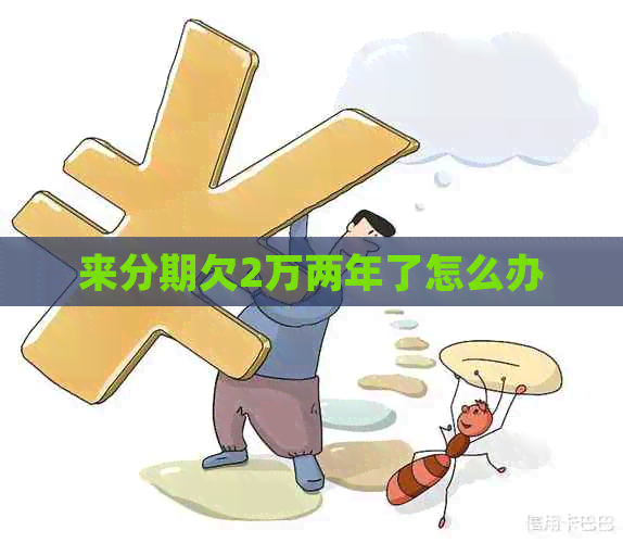 来分期欠2万两年了怎么办