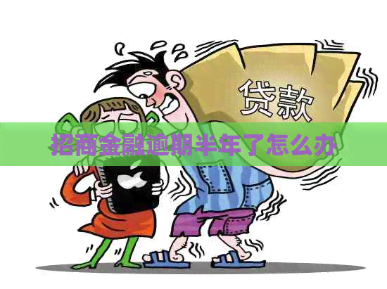 招商金融逾期半年了怎么办