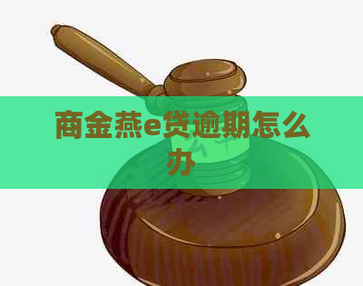 商金燕e贷逾期怎么办