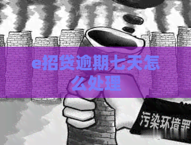 e招贷逾期七天怎么处理