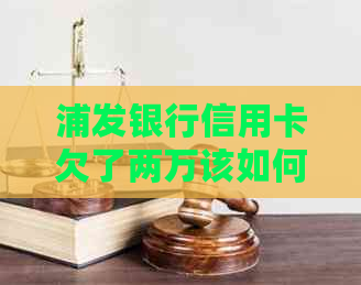 浦发银行信用卡欠了两万该如何处理