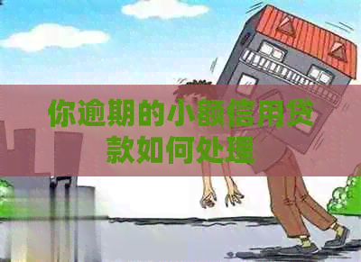 你逾期的小额信用贷款如何处理