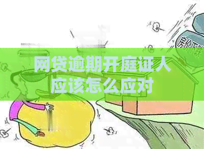 网贷逾期开庭证人应该怎么应对