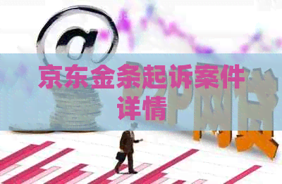 京东金条起诉案件详情