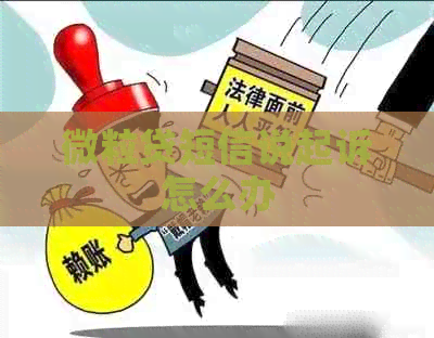 微粒贷短信说起诉怎么办