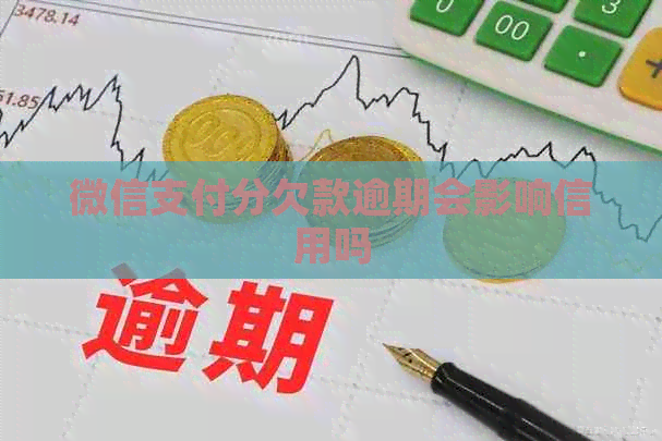 微信支付分欠款逾期会影响信用吗