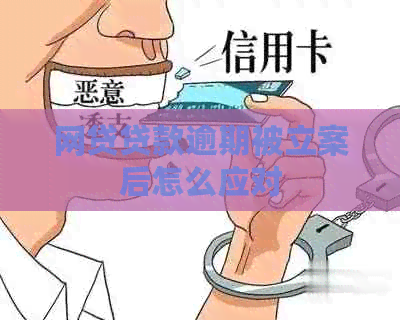 网贷贷款逾期被立案后怎么应对