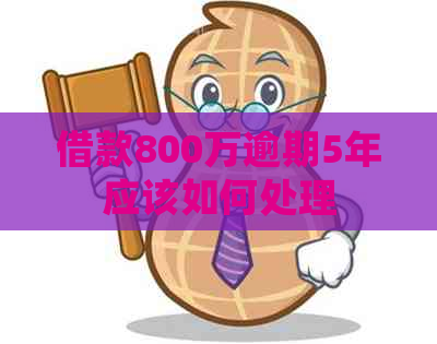 借款800万逾期5年应该如何处理