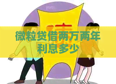 微粒贷借两万两年利息多少