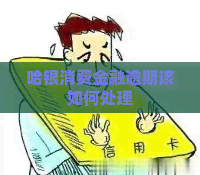 哈银消费金融逾期该如何处理