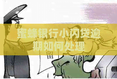 蜜蜂银行小闪贷逾期如何处理