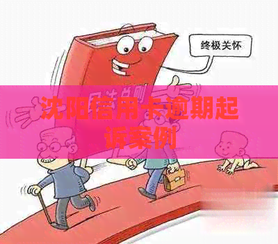 沈阳信用卡逾期起诉案例