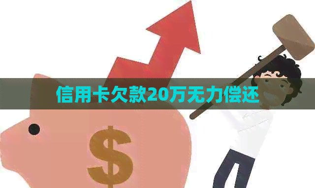 信用卡欠款20万无力偿还