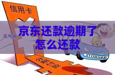 京东还款逾期了怎么还款