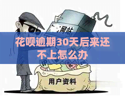 花呗逾期30天后来还不上怎么办